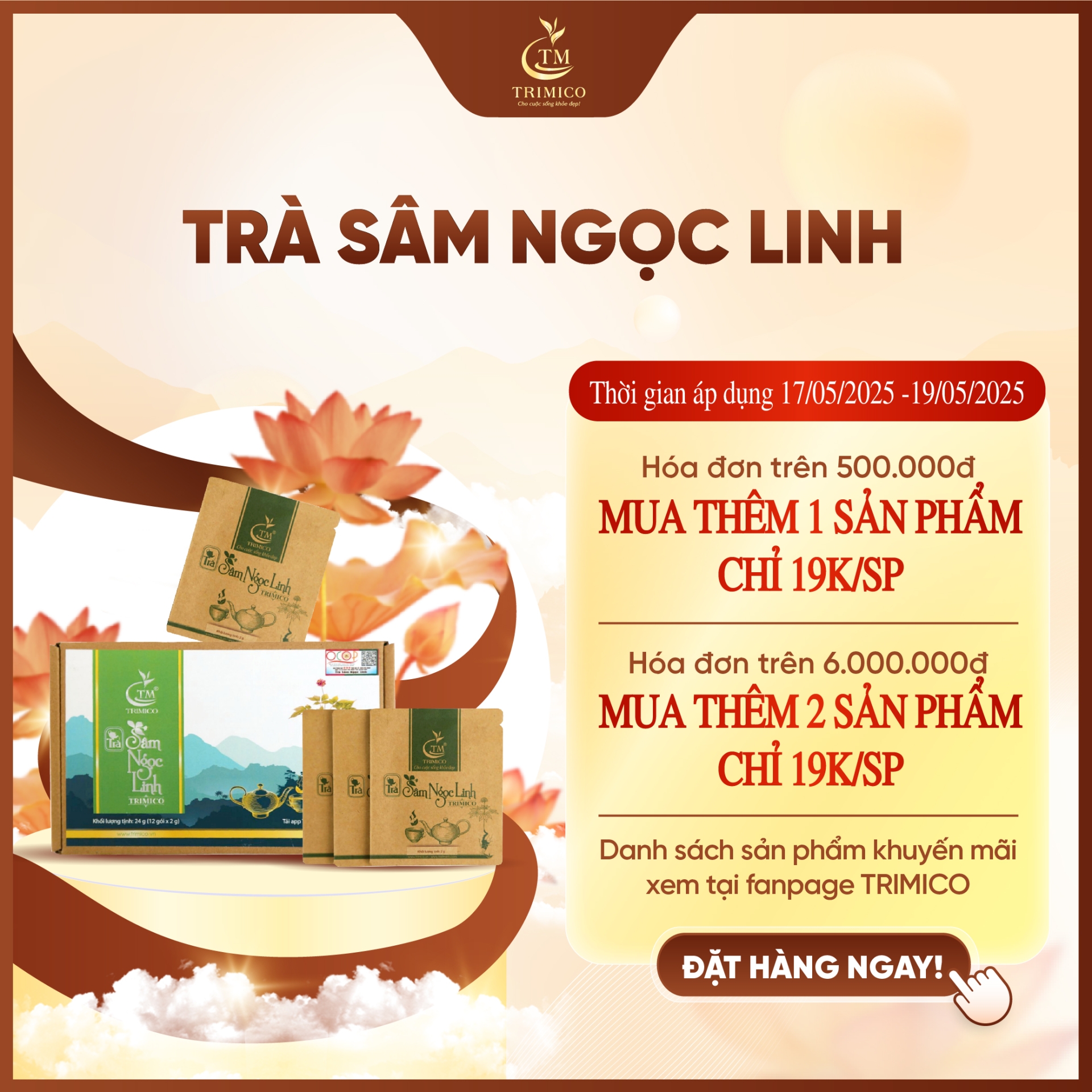 Trà Sâm Ngọc Linh TRIMICO
